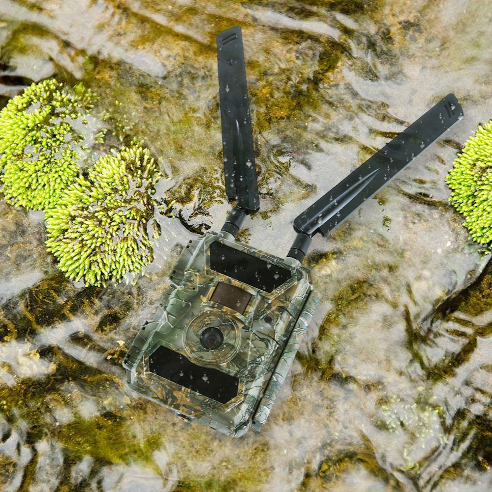 Caméra de chasse 4G avec vision nocturne : Aigle Pro