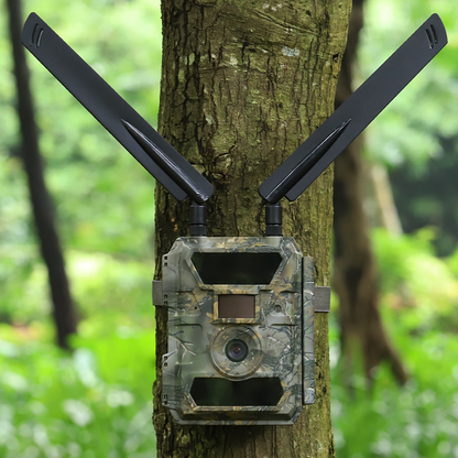 Caméra de chasse 4G avec vision nocturne : Aigle Pro