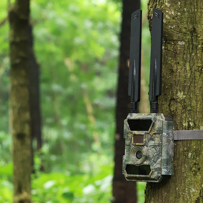 Caméra de chasse 4G avec vision nocturne : Aigle Pro